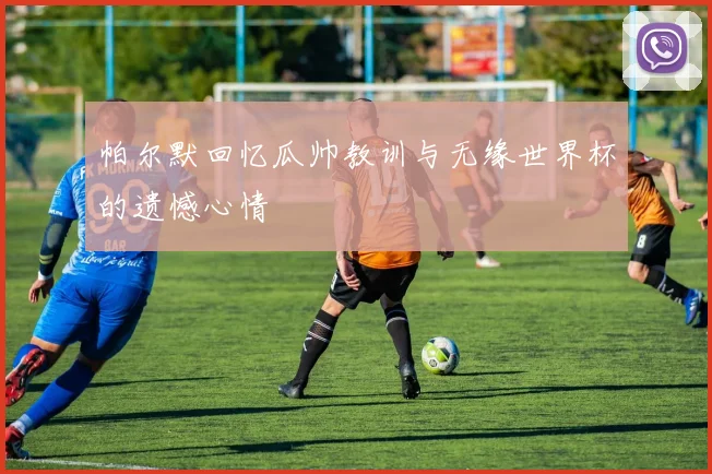 帕尔默回忆瓜帅教训与无缘世界杯的遗憾心情
